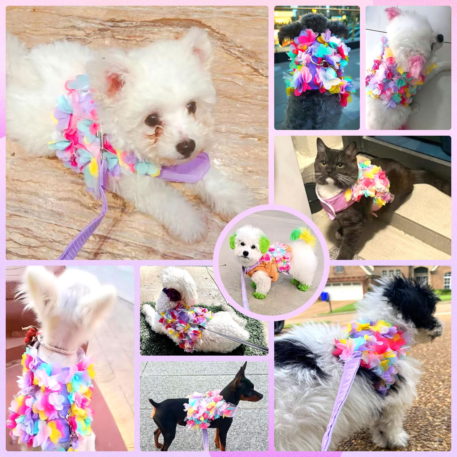 Cute Purple Lace Floral Dog Harness and Leash Set - Soft Mesh Escape Proof Vest for Small Dogs & Cats - Perfect for Walking, Training, and Outdoor Adventures