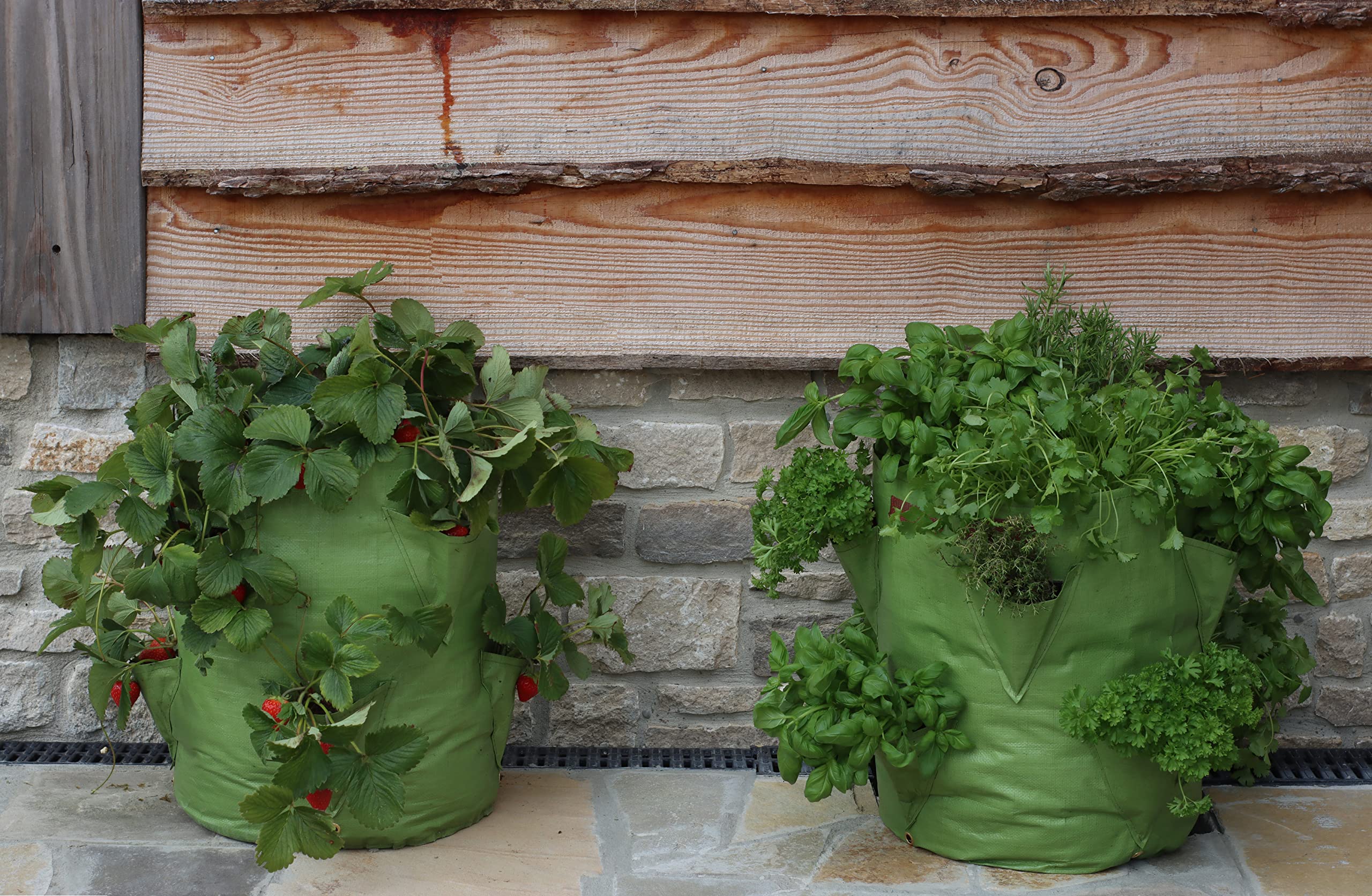 Tierra Garden Haxnicks 14 Inch Strawberry and Herb Planter Bags 2-Pack - Breathable Grow Bags with Side Pockets for Gardening - Perfect for Patio, Balcony & Small Space Planting