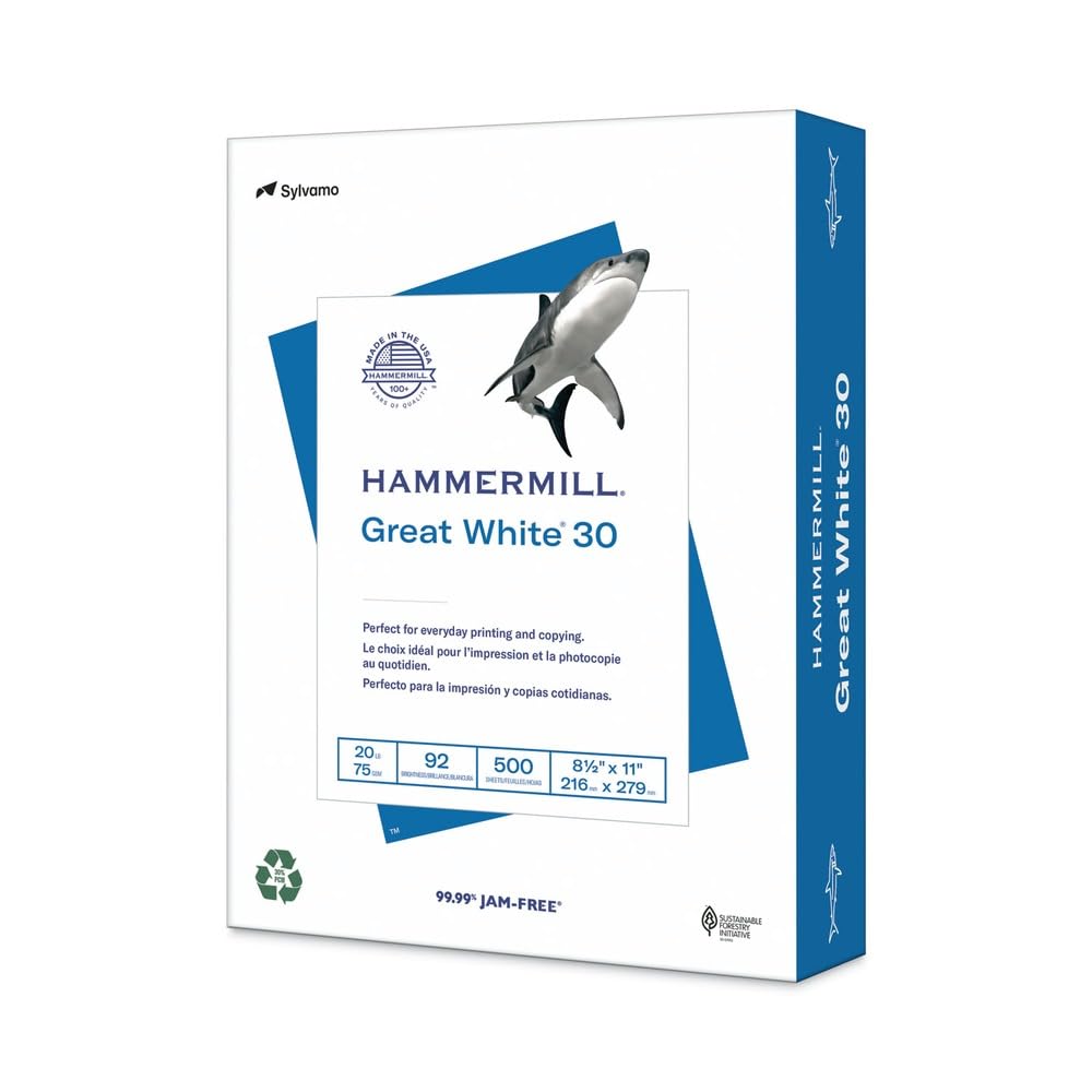 Great White Recycled Copy Paper - 92 Brightness, 20lb, 8.5x11 Inches, 5000 Sheets per Carton | Eco-Friendly Office Paper for Printing, Copying & Everyday Use