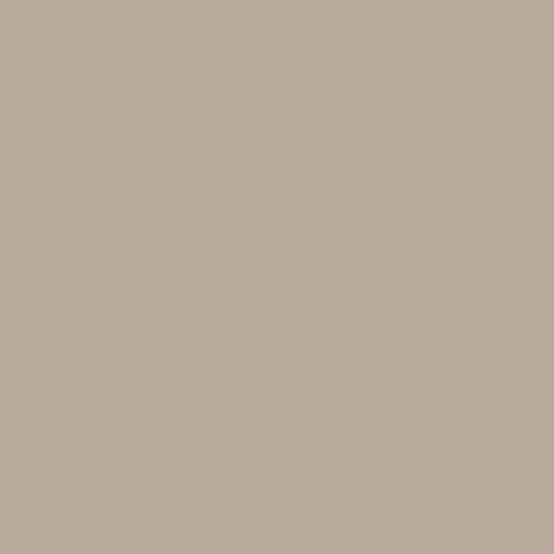 Adobe Brown