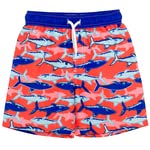 Shark, Red