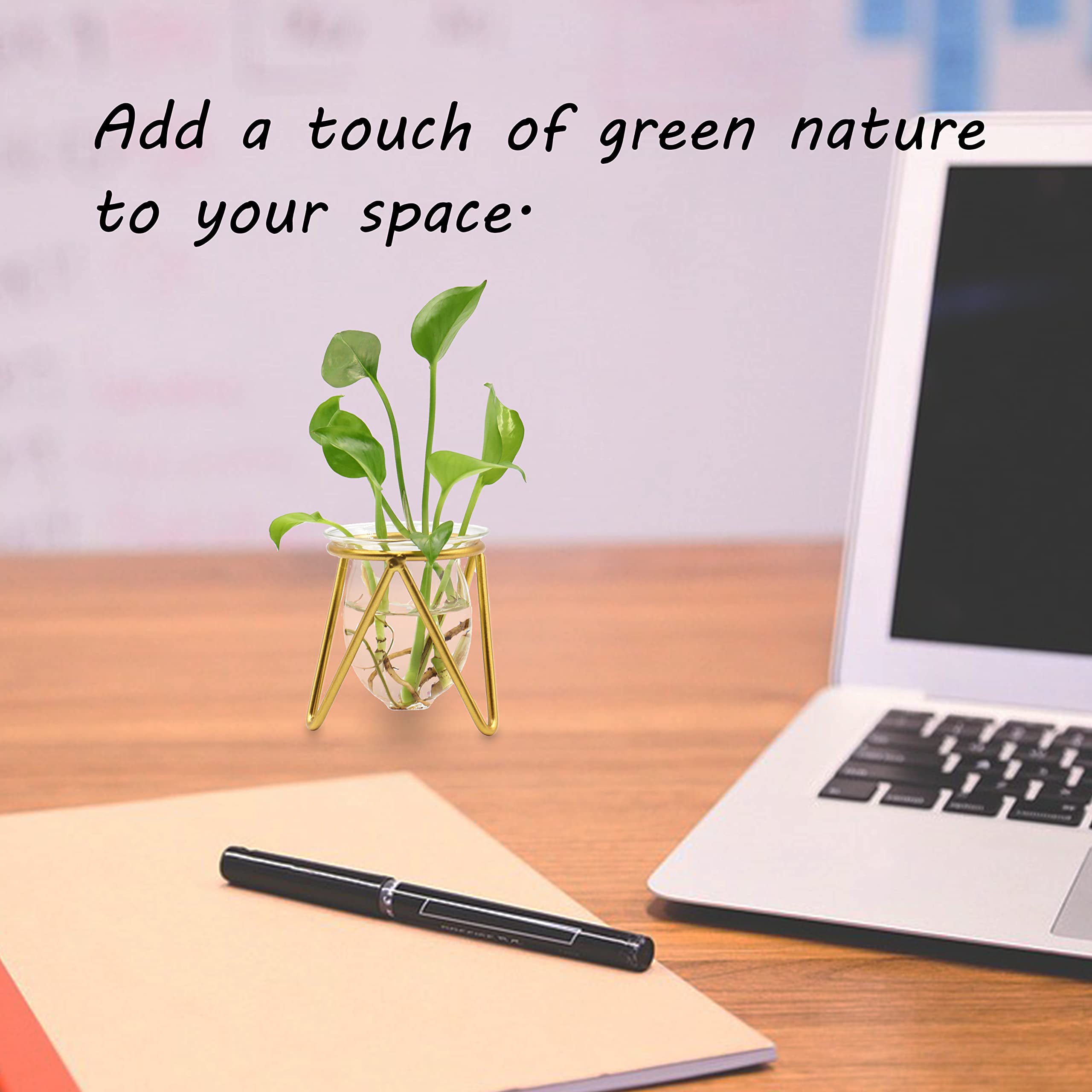 Metal Stand Plant Terrarium - Glass Bulb Vase for Hydroponic Plants | Indoor Home, Office & Garden Decor | Perfect for Succulents, Air Plants & Small Herbs