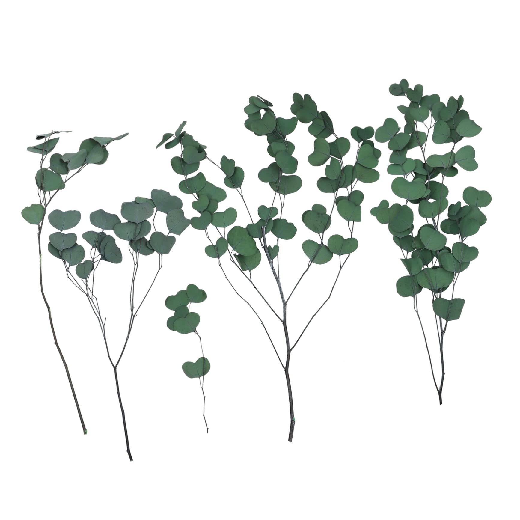 IMIKEYA Mini Fake Plants - Artificial Eucalyptus Bunch for Home Decor, Dining Table Greenery, Christmas Bouquet & Indoor Plants | Perfect for Centerpieces, Shelf Styling, and Holiday Decorations