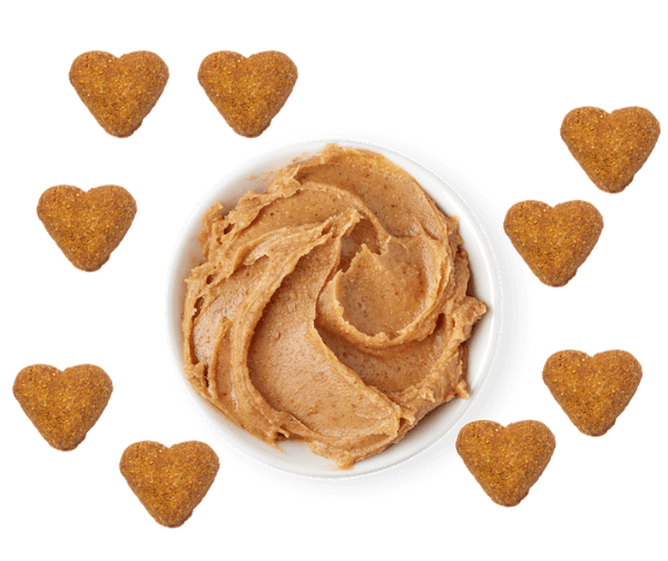 Darford Grain Free Peanut Butter Dog Treats - Oven Baked, All Natural, Healthy Snacks for Small & Large Dogs - Perfect for Training Rewards and Daily Treats