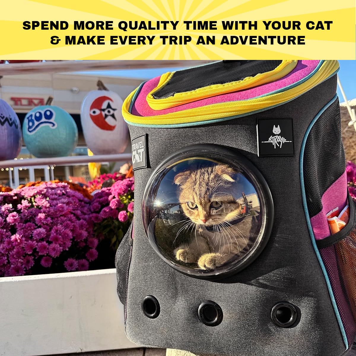 Fat Cat Backpack Carrier - Airline Approved Pet Travel Bag with Bubble Window for Small Cats & Kittens | Premium Ventilated Cat Backpack for Outdoor Adventures, Hiking, Vet Visits & Daily Use