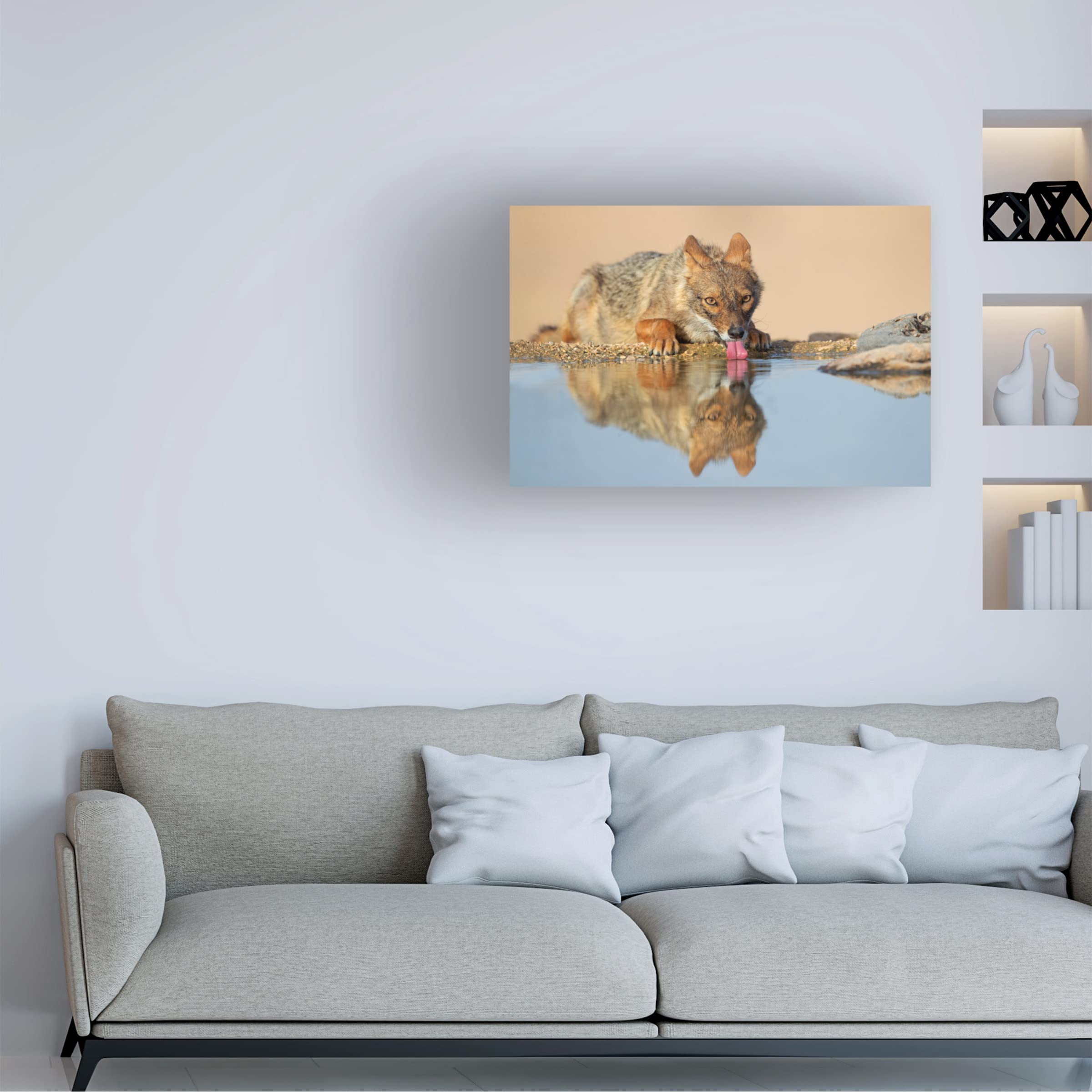 Trademark Fine Art 'Golden Jackal' Canvas Wall Art Print by Shlomo Waldmann - Premium Wildlife Home Decor for Living Room, Bedroom & Office