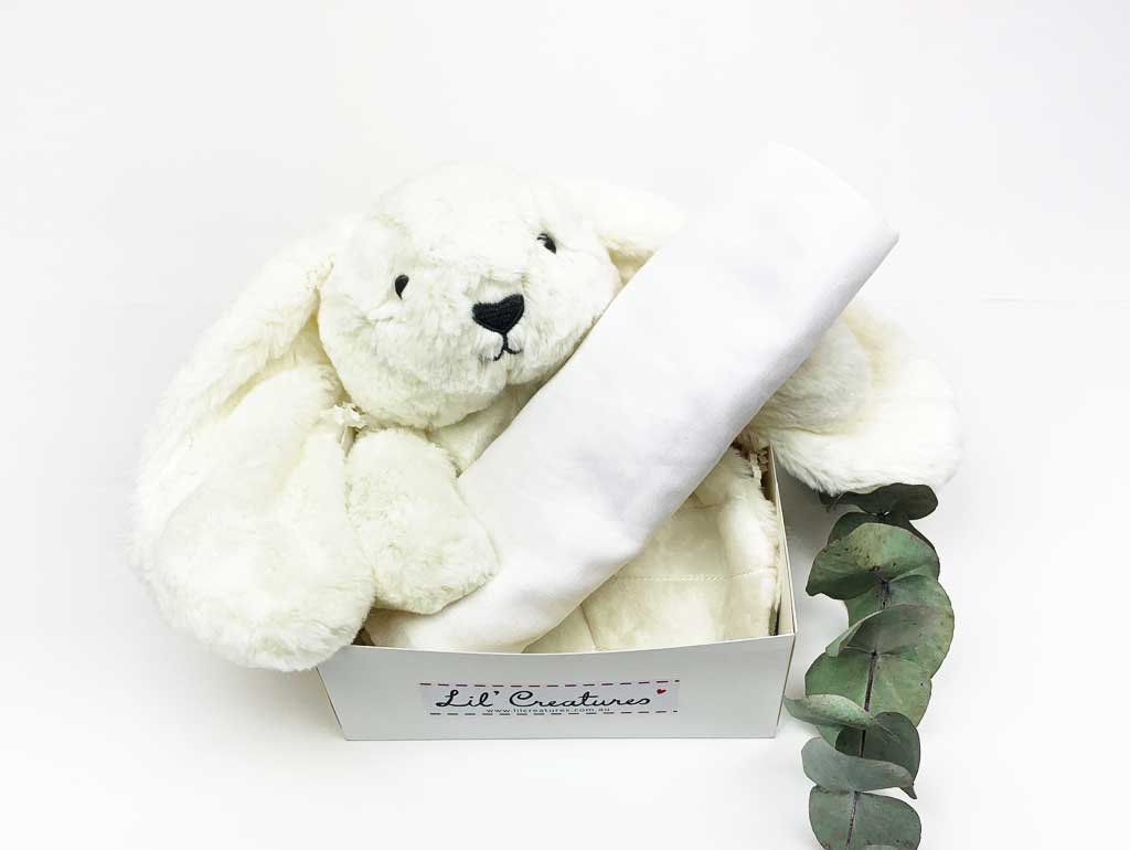 Pure White Baby Bunny Plush Toy Gift Box - Soft Stuffed Animal for Newborns, Baby Showers & Easter Gifts - Perfect for Nursery Decor, First Birthday & Cuddling