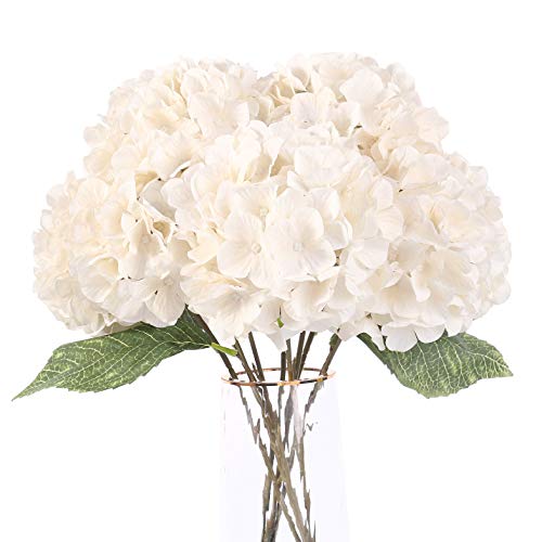 White, 5 Flower Heads