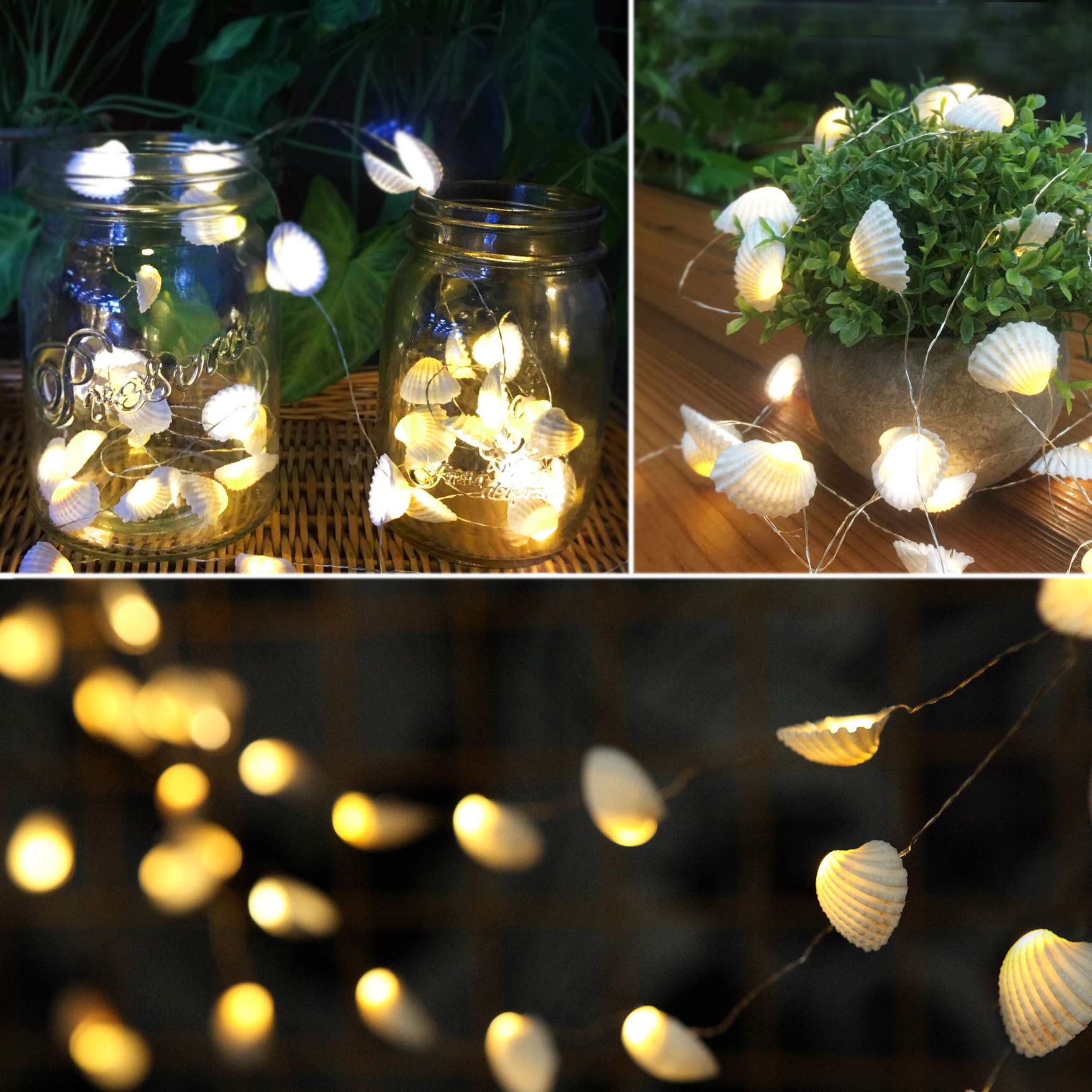 Ocean Themed Sea Life Night Lights - USB Plug 40 LED Giant Clam String Lights for Beach Aquarium Decor, Christmas Tree & Holiday Gifts (Perfect for Kids' Bedroom, Nursery, Party Decorations)