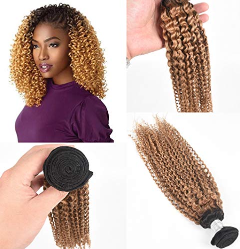 Bejoy 16 Inch Kinky Curly Hair Bundles - 100% Unprocessed Brazilian Virgin Human Hair Extensions | Ombre Blonde to Brown Double Drawn Weft for Black Women | Perfect for Protective Styles, Weddings & Everyday Glam
