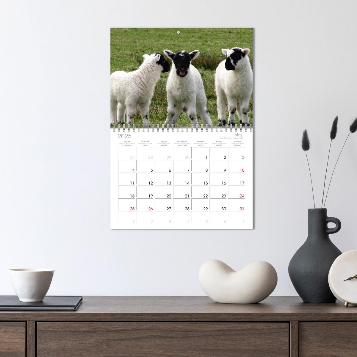 2025 Scotland Highland Sheep Wall Calendar - 11.7 x 16.5 Inch 14-Month Landscape Calendar | Perfect for Home, Office & Gift Giving | CALVENDO
