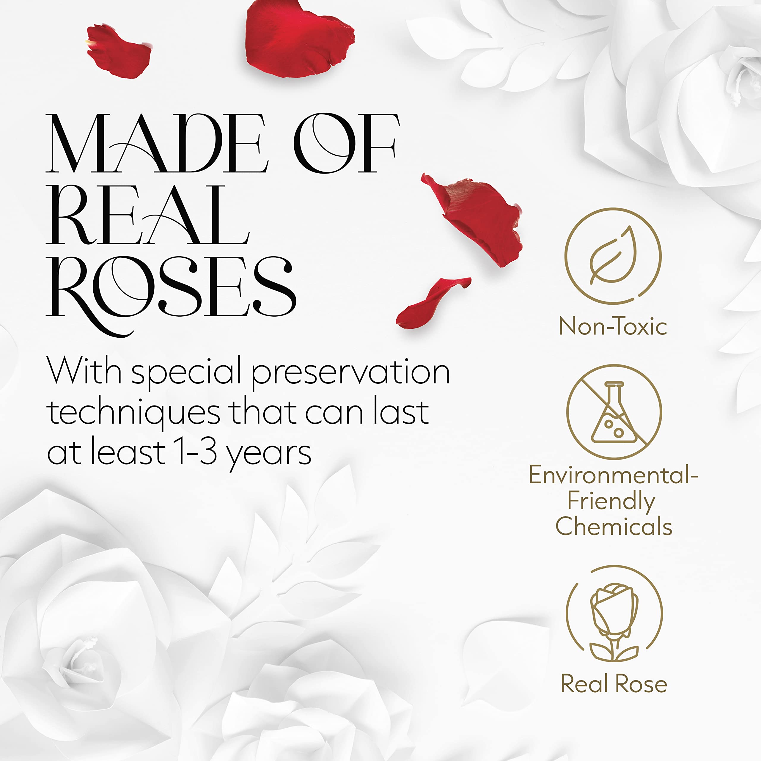 Hexagon Single Rose Forever Box - Preserved Roses in a Box That Last 1 Year, Eternal Rose Gift for Anniversary, Valentine's Day & Wedding - Perfect for Romantic Surprises, Home Decor & Luxury Gifting