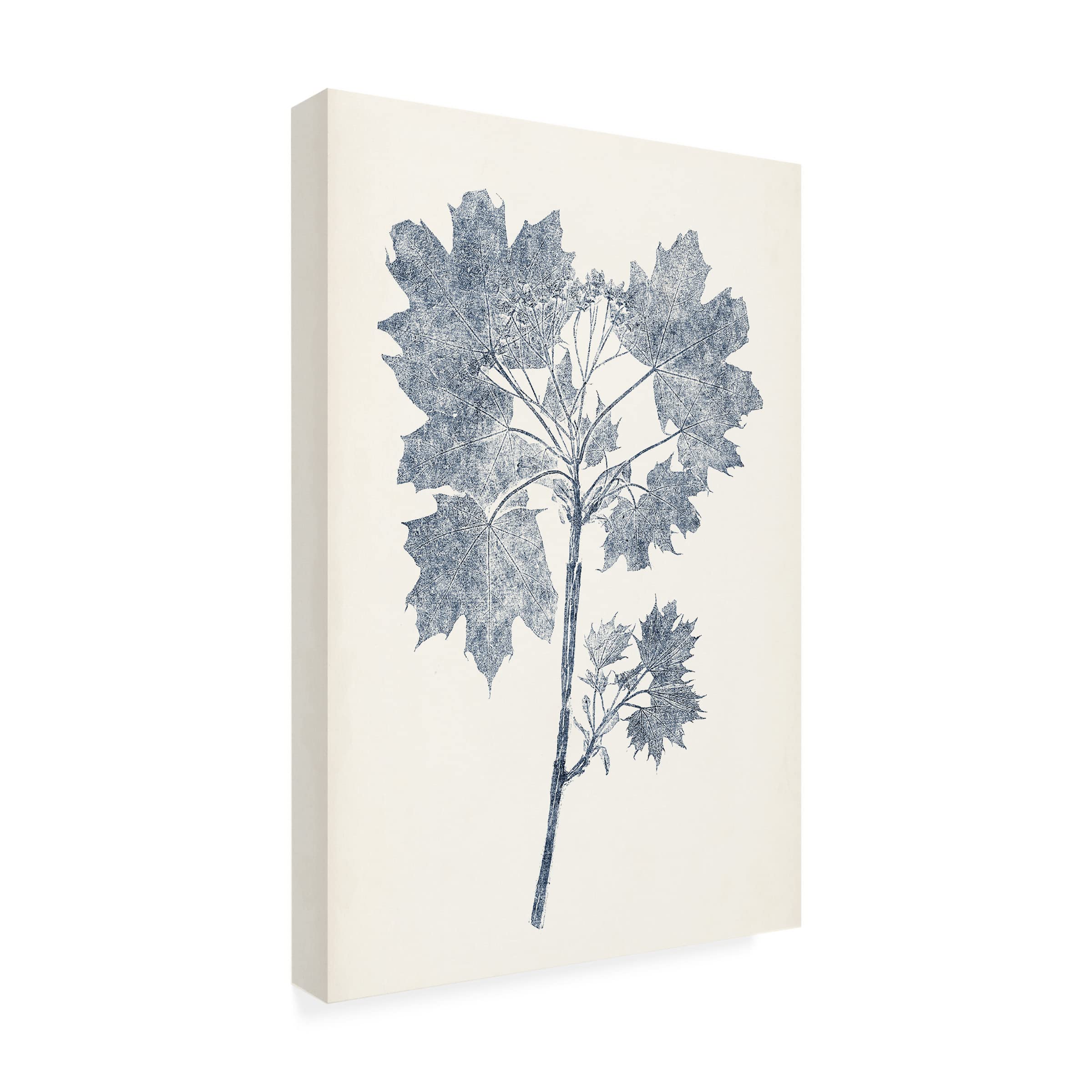 Trademark Fine Art 'Navy Botanicals I' Canvas Wall Art Print by Vision Studio - Perfect for Living Room, Bedroom & Office Decor