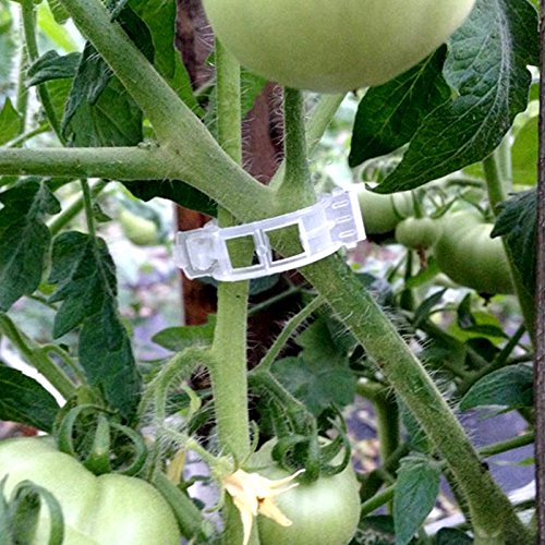 KINGLAKE 200 Pcs Plant Support Garden Clips - Tomato Vine Clips & Trellis Clips for Healthy Vertical Growth of Vine Vegetables, Tomatoes, Cucumbers | Perfect for Home Gardening, Greenhouses & Backyard Farms