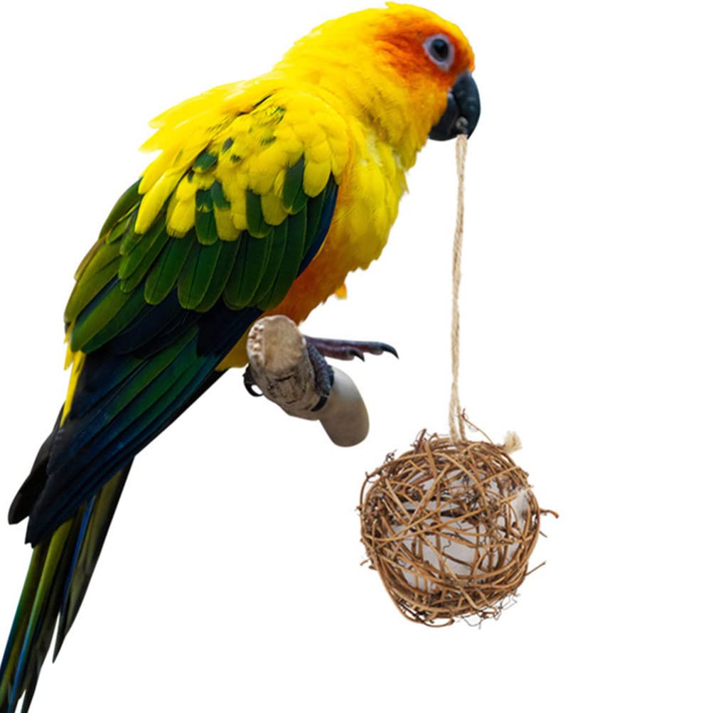 GANAZONO Ceramic Hummingbird Garden Decor - 2 Pack Bird Toys with Nesting Materials for Outdoor Hummingbirds & Parrots | Perfect for Birdhouses, Gardens & Backyard Wildlife Watching