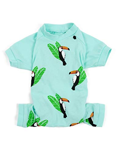 Toucan Bird