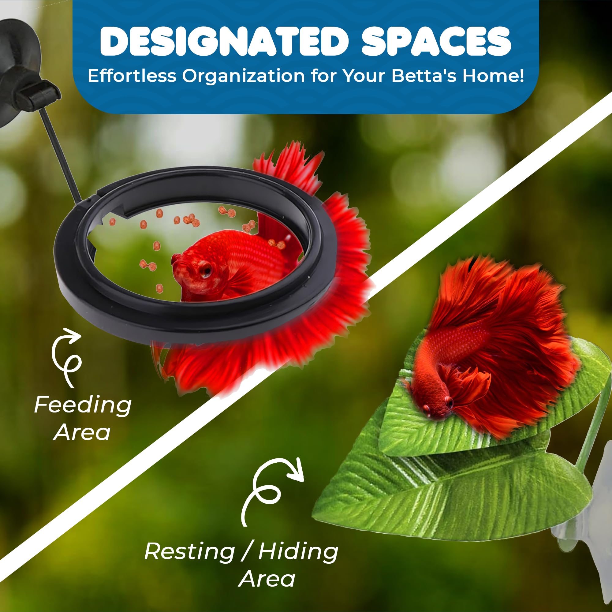 SunGrow Betta Fish Leaf Hammocks & Ring Feeder - 2 Pack Artificial Aquarium Plants with Suction Cups - Spawning Bed, Resting Spot & Feeding Station - Perfect for Betta Fish Breeding, Hiding & Decorating Your Fish Tank