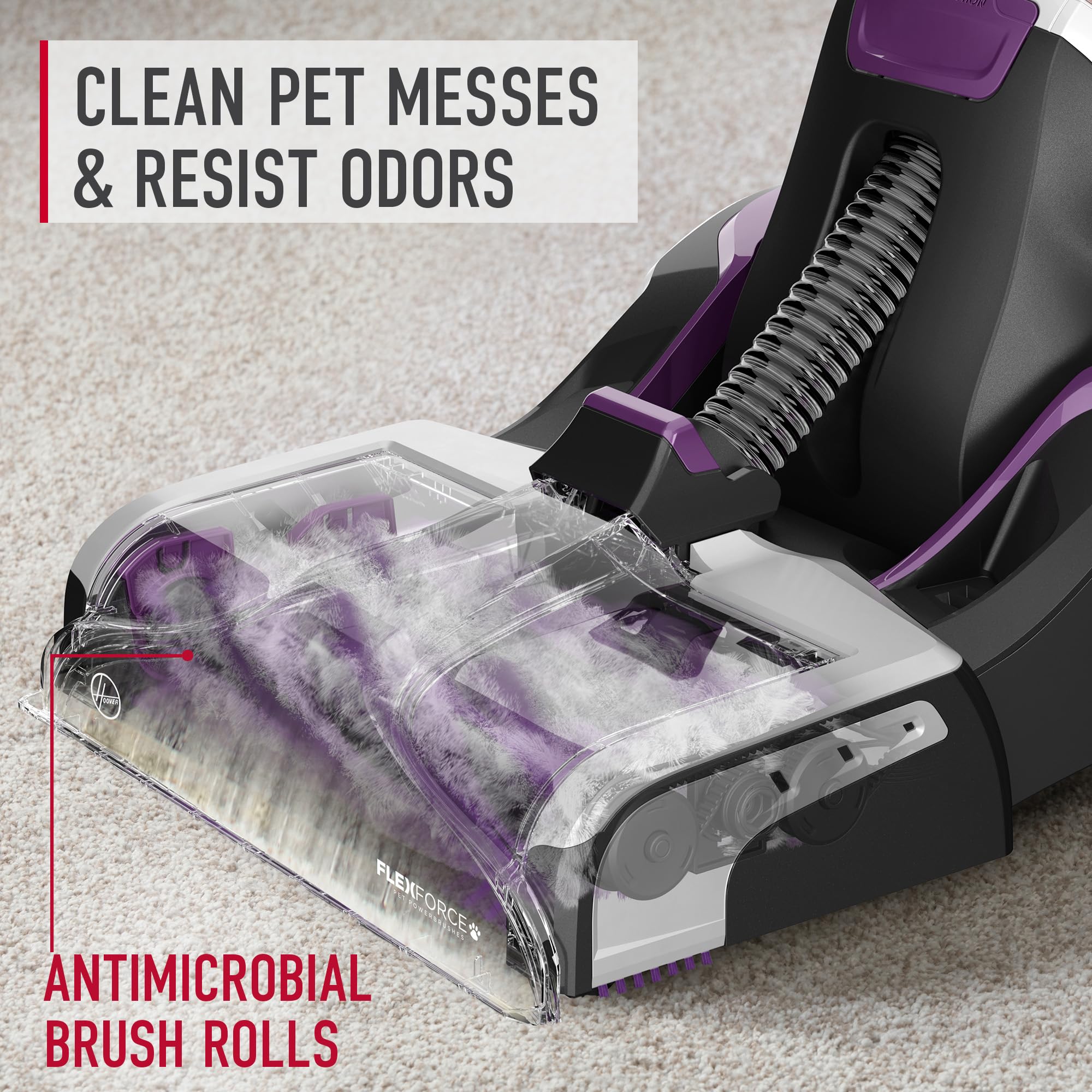 Hoover SmartWash Pet Automatic Carpet Cleaner Machine with Spot Chaser Stain Remover Wand | Includes 64 oz Pet Carpet Cleaner Solution | Deep Cleaning Carpet Shampoo for Pets | AH31925 | Perfect for Pet Hair Removal & Stain Treatment in Homes with Dogs & Cats
