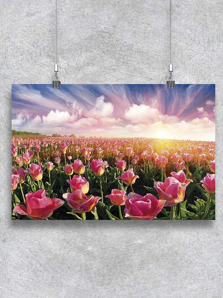 Pink Tulip Field Poster - Beautiful Floral Wall Art Decor for Living Room, Bedroom & Office - Spring Flower Landscape Painting Print