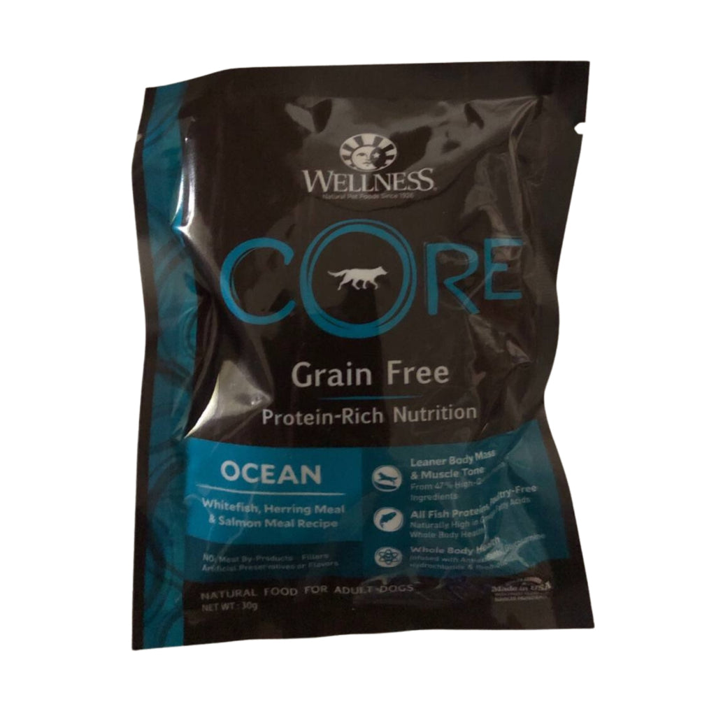 Wellness CORE Grain Free Dry Dog Food - High Protein Puppy Formula for Healthy Weight (4lb & 12lb) | Premium Nutrition for Growing Dogs - Perfect for Active Puppies & Small Breed Dogs
