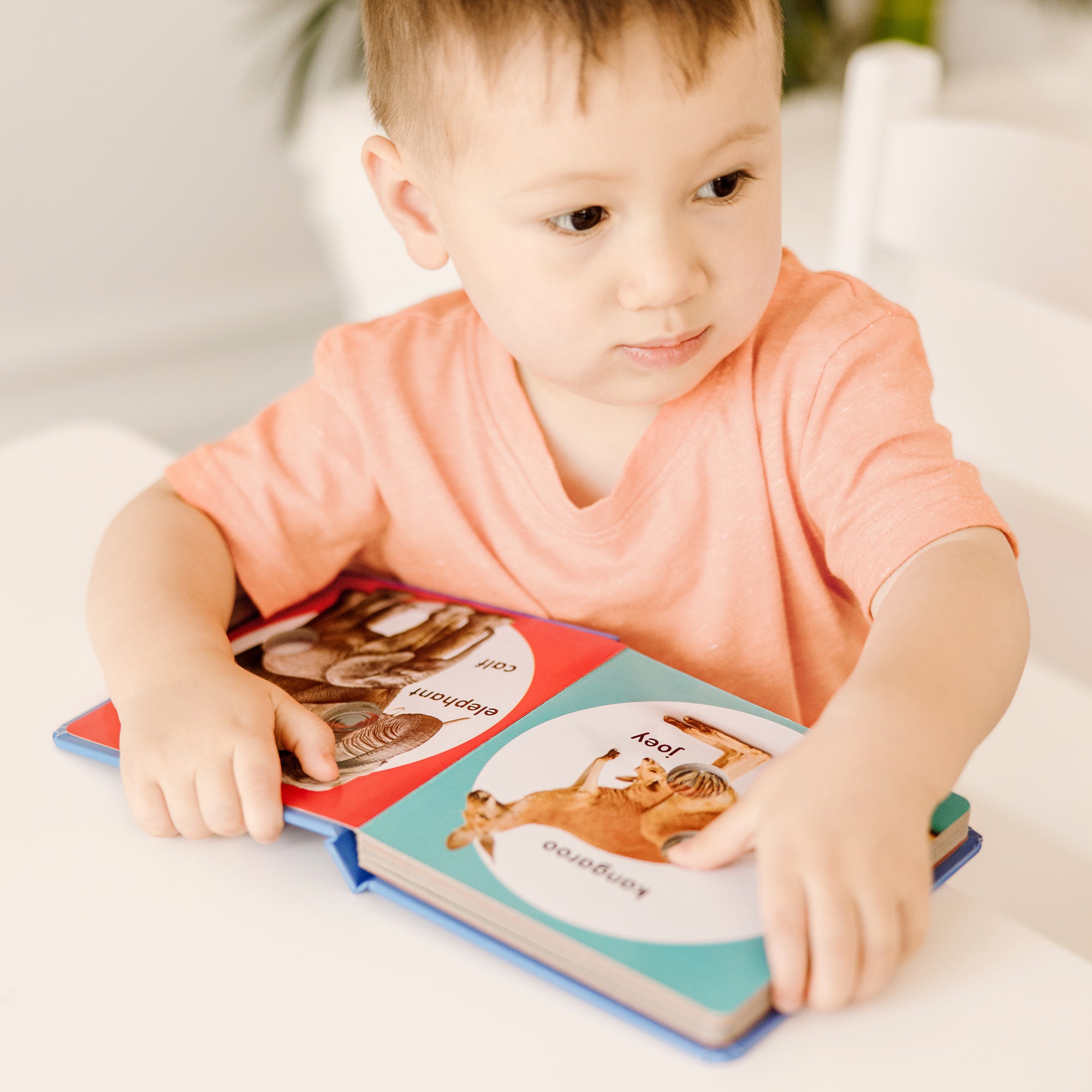 Poke a Dot: Wild Animal Families Interactive Board Book for Toddlers – Fun Learning & Sensory Play for Kids