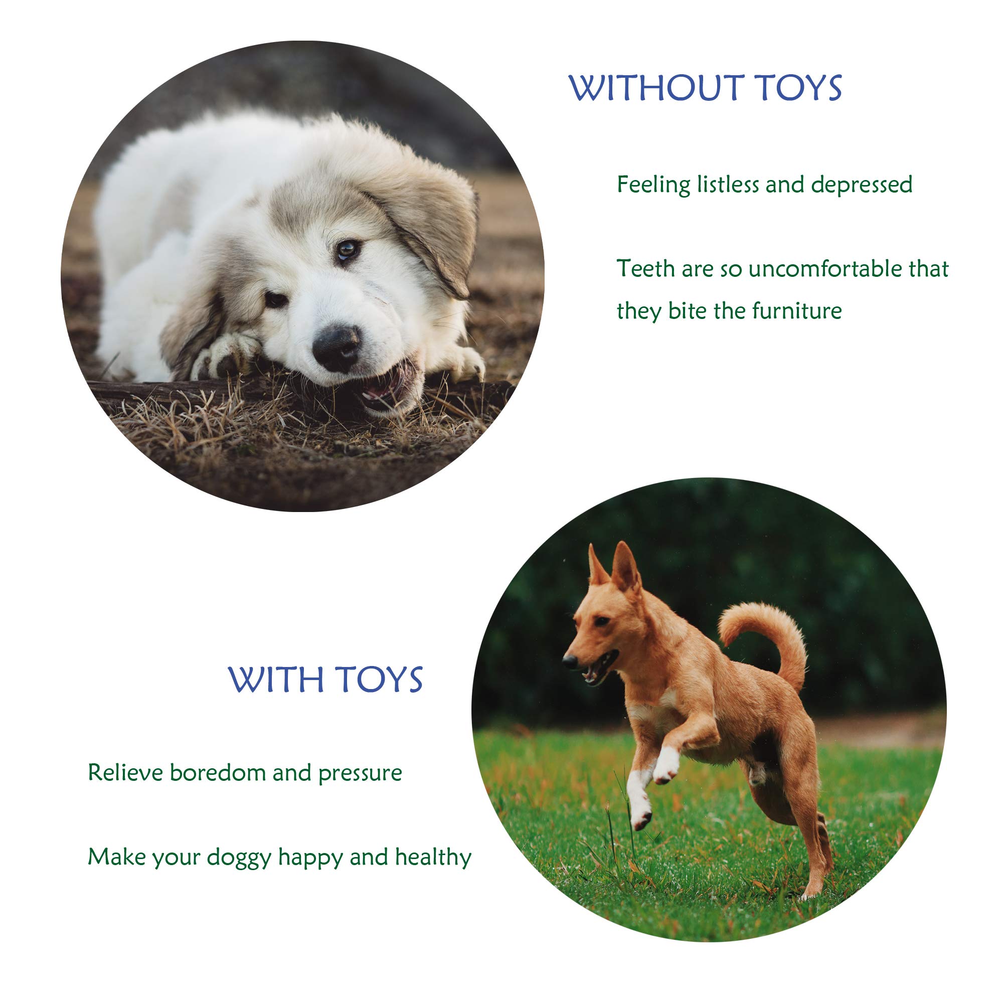 Durable Dog Chew Toys Rope - 4 Pack Washable Cotton Rope Chew Toys for Small Dogs & Puppies | Interactive Pet Toy for Teething, Training & Playtime