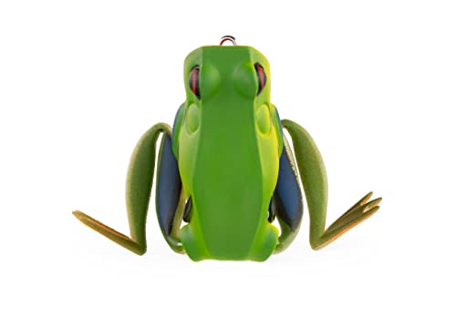 Tree Frog