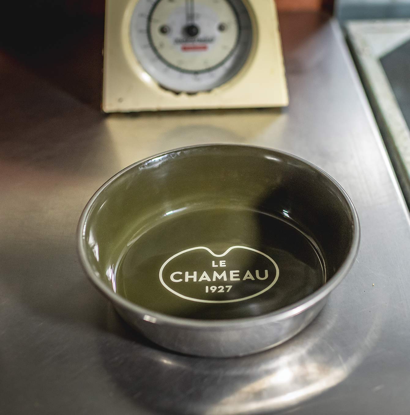 Premium Stainless Steel Dog Bowl - Non-Slip, Rust-Proof Pet Food & Water Dish for Large & Small Dogs - Perfect for Indoor, Outdoor, Travel & Camping Use