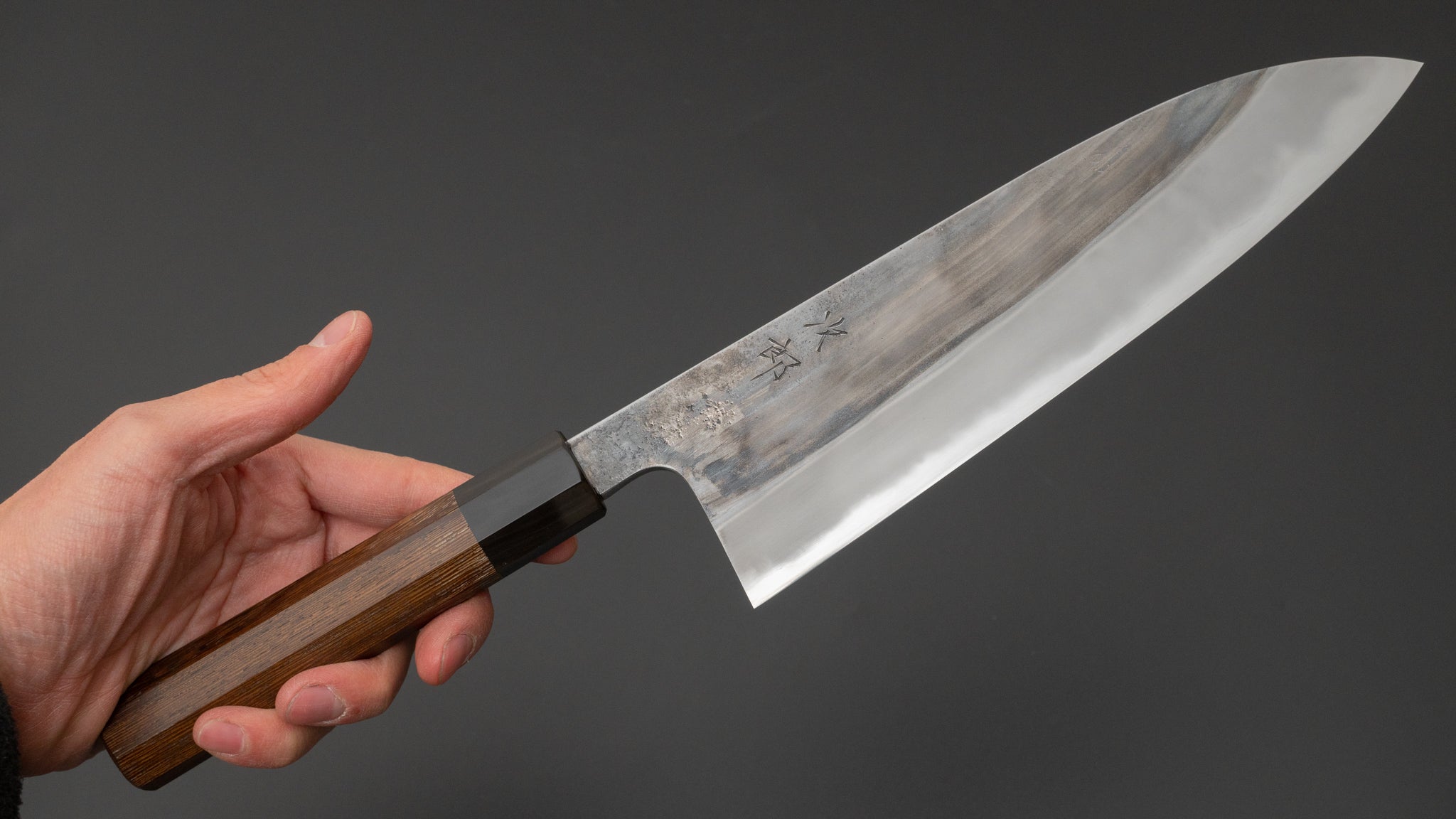 Premium Jiro Tsuchime Wa Gyuto 210mm Japanese Chef Knife with Taihei Tagayasan Handle - Perfect for Sushi, Meat Slicing & Professional Kitchen Use (#548)