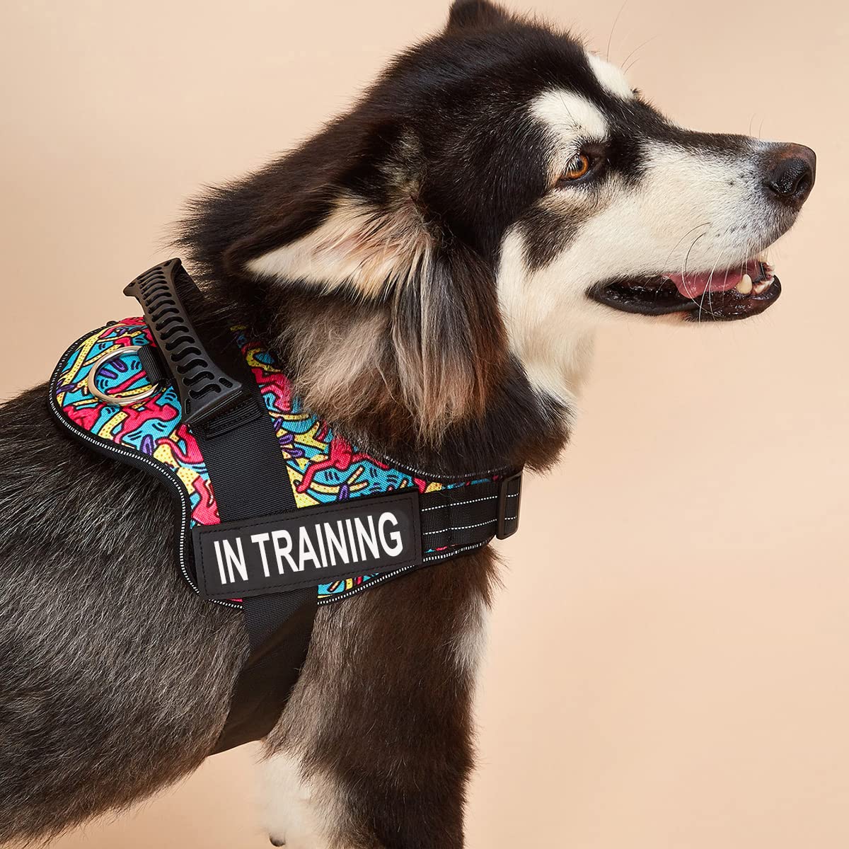 Dihapet No Pull No Choke Dog Harness - Adjustable Service Dog Vest for Training, Walking & Jogging - Comfortable Pet Vest for Small Medium Large Dogs - Perfect for Outdoor Adventures & Daily Walks