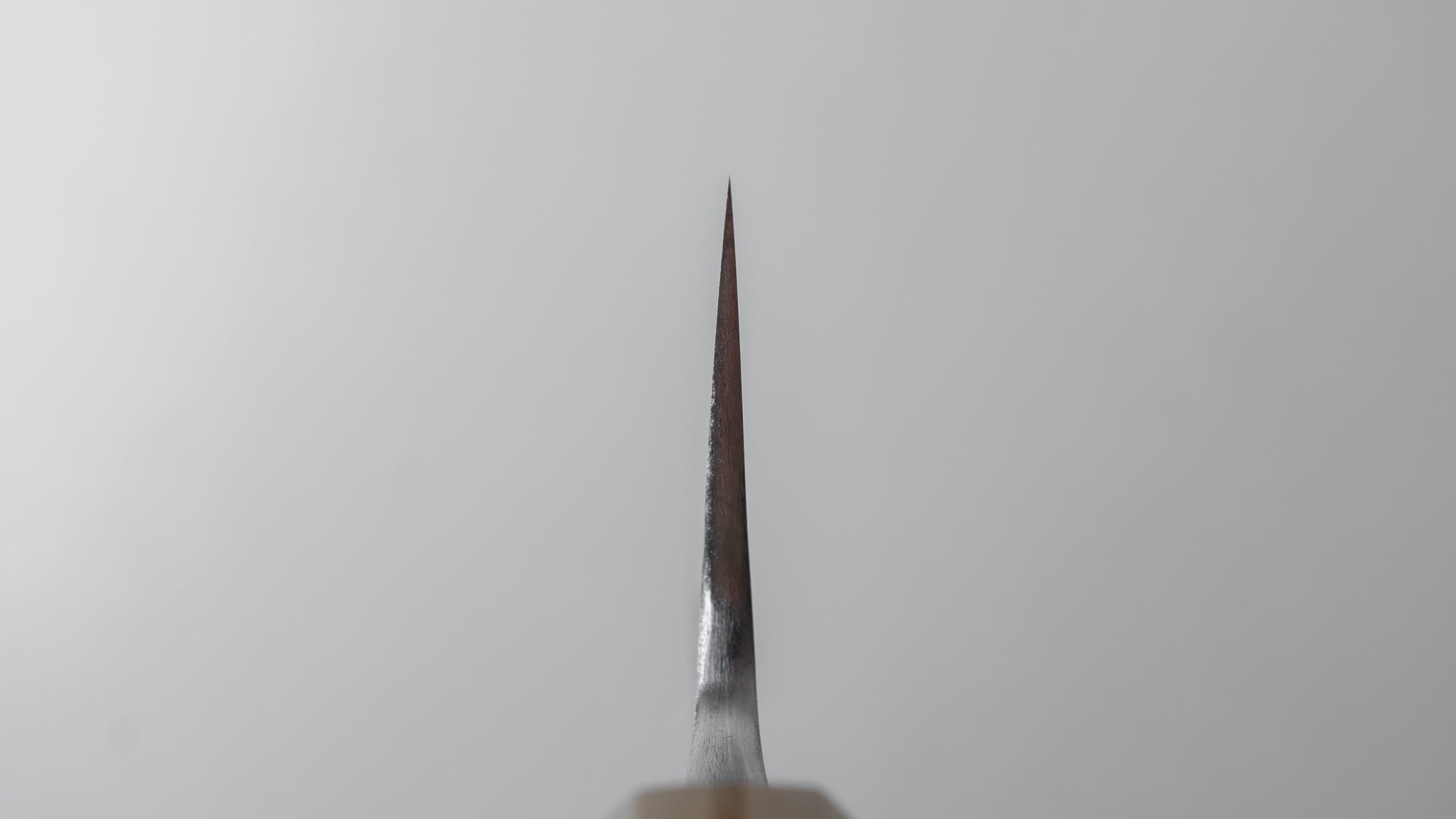 Premium Jiro Tsuchime Sujihiki 210mm Japanese Slicing Knife with Taihei Tagayasan Handle (#482) - Perfect for Sushi, Sashimi & Meat Carving