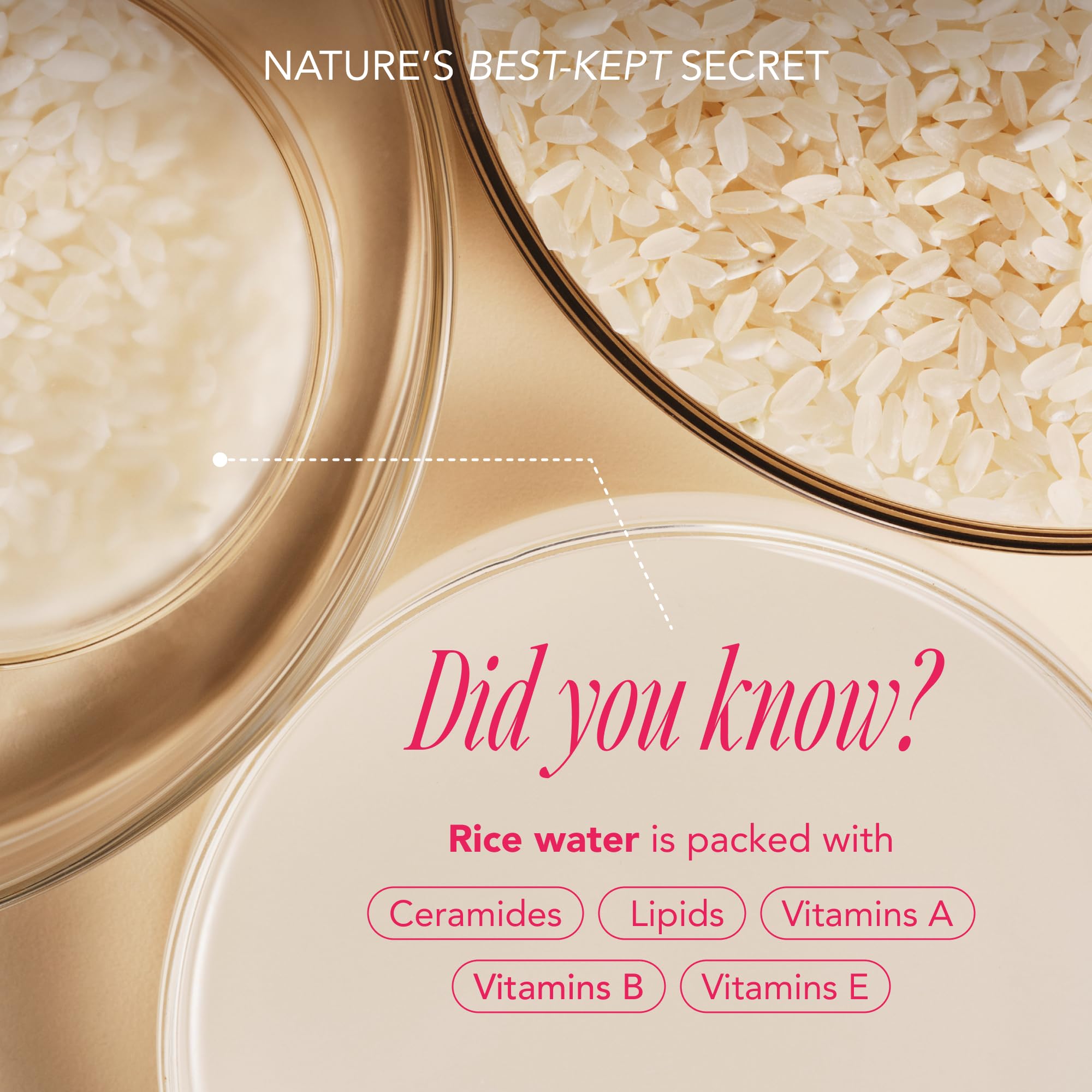 The Face Shop Rice Water Bright Essential Treatment - Korean Rice Protein & Shea Butter Hair Conditioner for Dryness, Anti-Hair Loss, Breakage & Split Ends Control | Sulfate-Free | Perfect for Damaged, Frizzy Hair & Daily Nourishment
