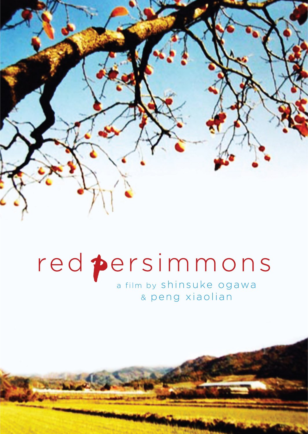 Fresh Red Persimmons - Sweet & Juicy Japanese Fruit - Perfect for Healthy Snacks, Fruit Salads & Gift Baskets