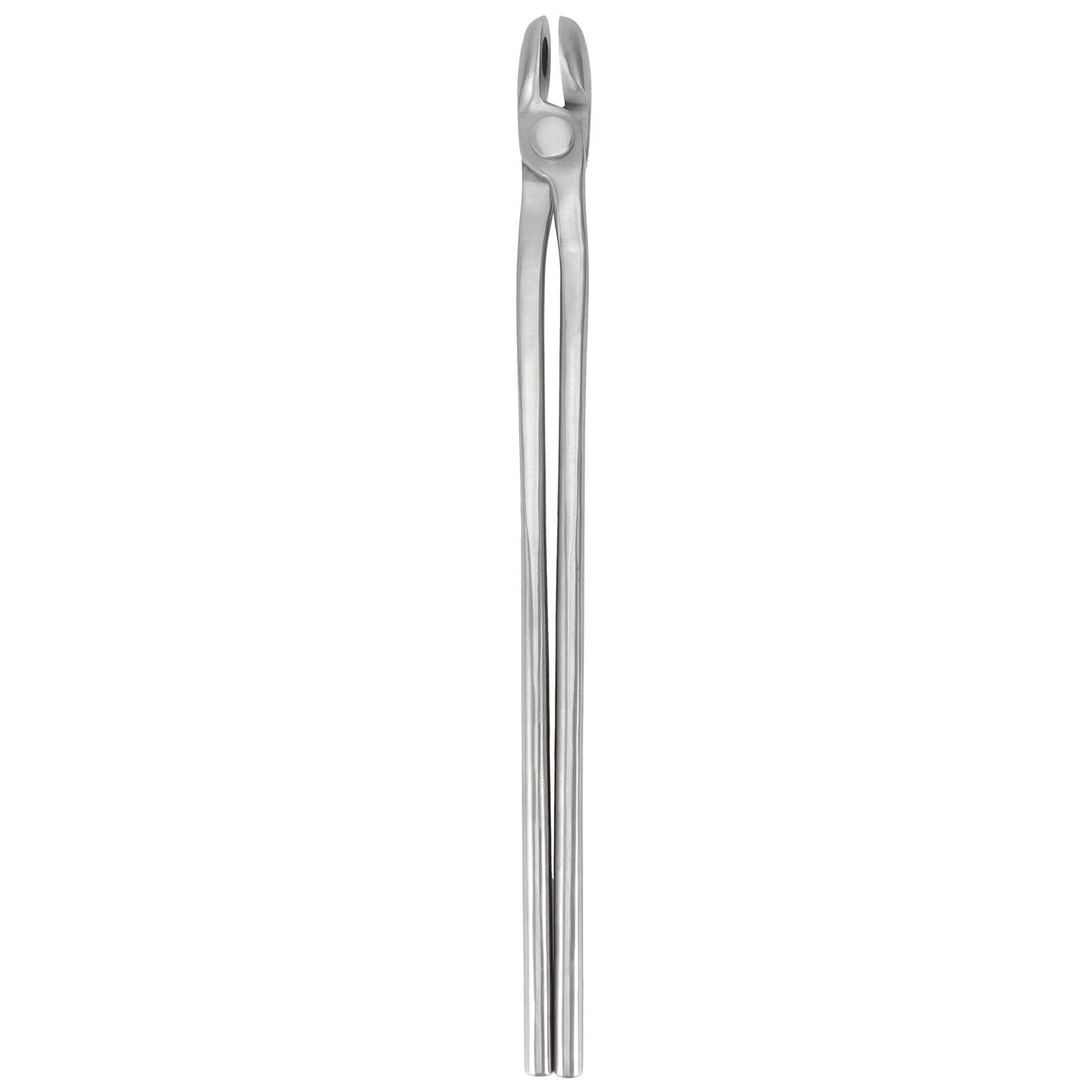 LZKW Professional Farrier Hoof Nipper - High Strength Tool Steel, Wear Resistant & Durable Blacksmithing Tool for Horseshoes, Hoof Care & Harness Maintenance (Ideal for Farriers, Veterinarians & Equestrian Professionals)