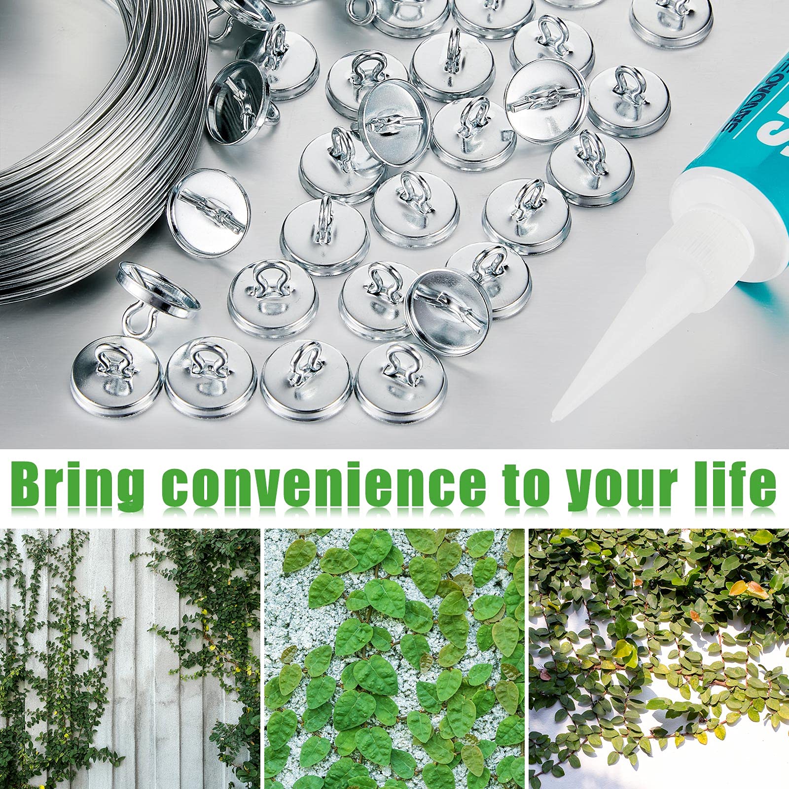 WILLBOND 80-Pack Plant Anchors - Heavy Duty Trellis Clips & Vine Wall Hooks for Climbing Plants - Garden Wall Fixture Supplies for Outdoor Vine Support (Ideal for Tomatoes, Cucumbers & Flowering Vines)