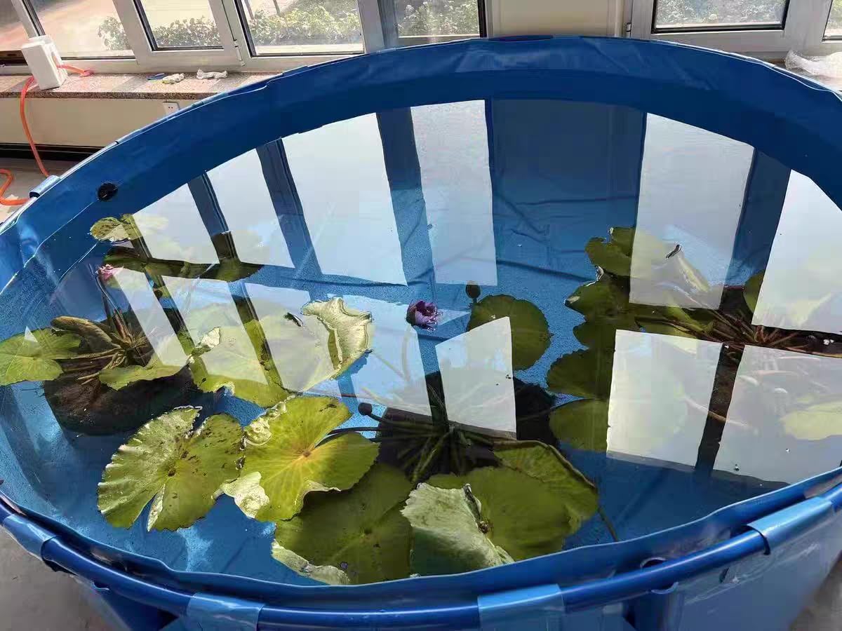 Blue PVC Above Ground Fish Pond Pool - 1.5x0.8m (356 Gallon) with Reinforced Frame & Thickened Canvas for Aquatic Breeding, Water Storage & Irrigation | Perfect for Backyard Koi Ponds, Garden Water Features & Small Farm Irrigation Systems