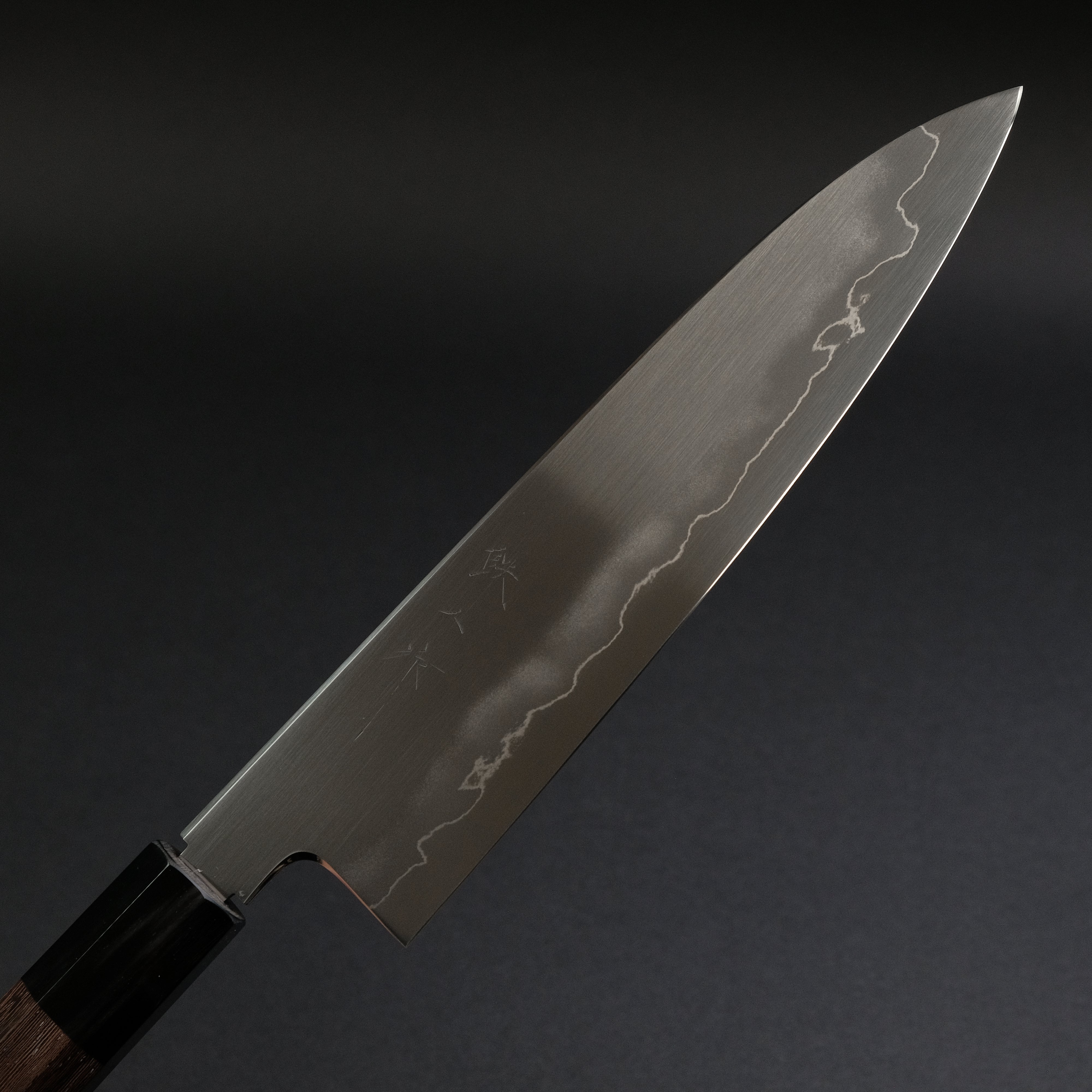 Tetsujin Silver #3 Ukiba Gyuto 210mm Japanese Chef Knife with Taihei Tagayasan Handle - Professional Kitchen Knife for Slicing, Dicing & Precision Cooking
