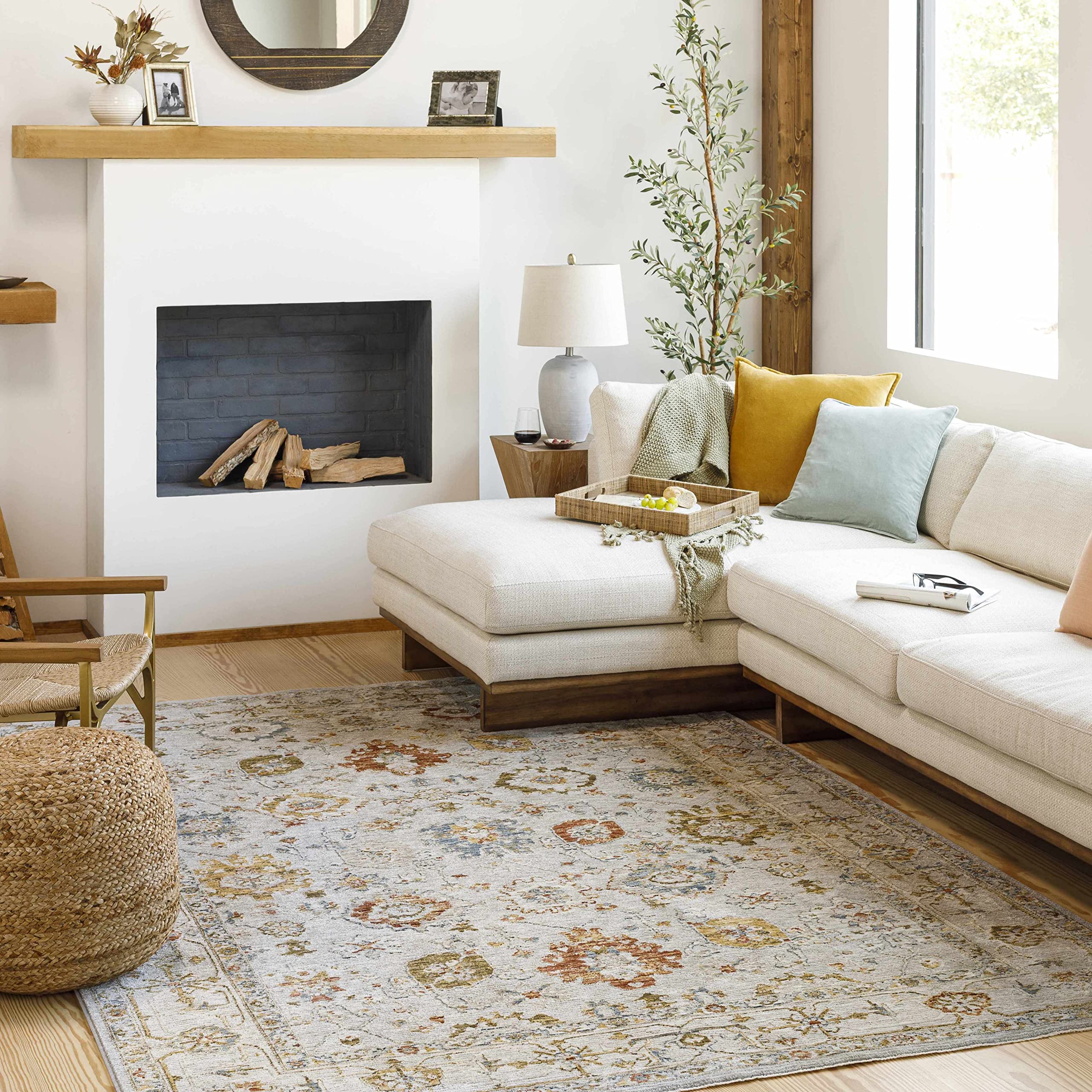 Hauteloom Calingcuan Soft Area Rug for Living Room & Bedroom - Beige, Blue, Red - 2'7