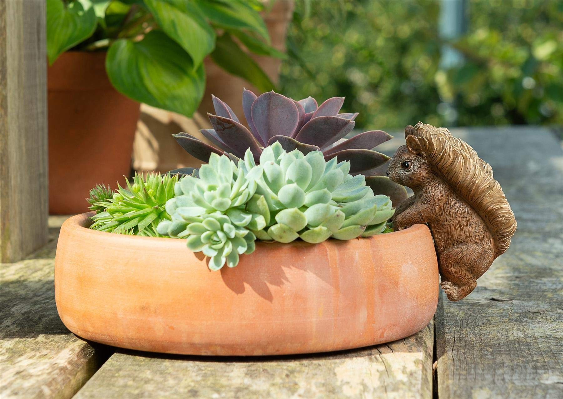 Beatrix Potter Squirrel Nutkin Pot Buddy - Licensed Ceramic Plant Pot Hanger for Indoor/Outdoor Gardens, Perfect for Flower Pots & Herb Planters