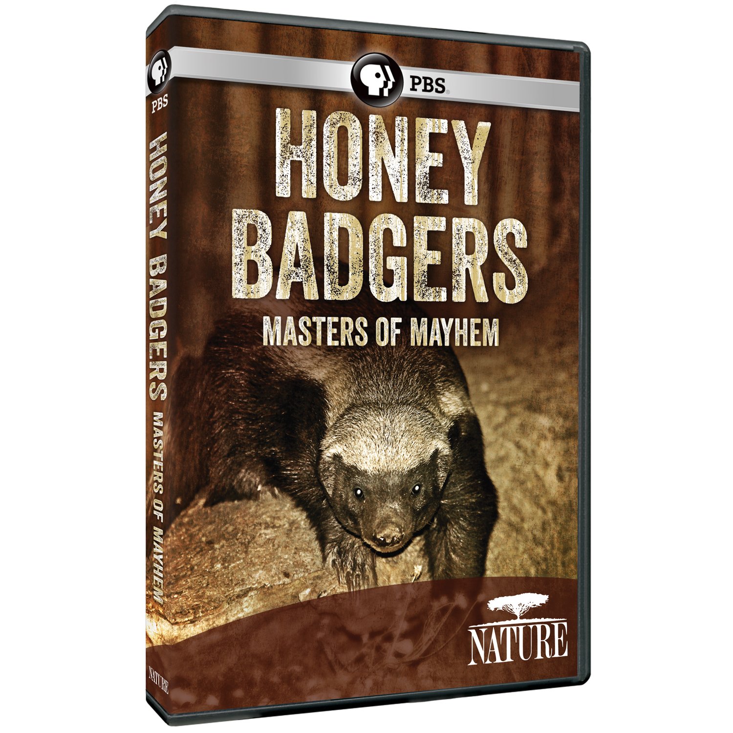 Honey Badgers: Masters of Mayhem – Nature's Fearless Predators | Perfect for Wildlife Enthusiasts & Nature Documentaries
