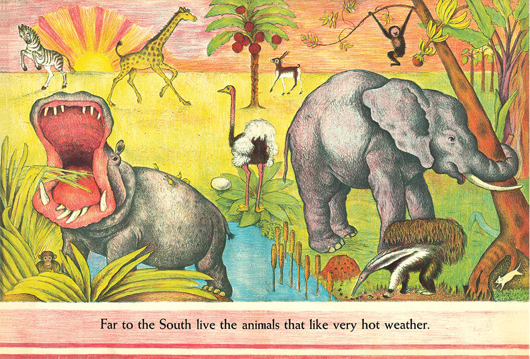 D'Aulaires' Book of Animals - Classic Illustrated Wildlife Encyclopedia for Kids | Perfect for Homeschooling, Bedtime Stories & Nature Learning