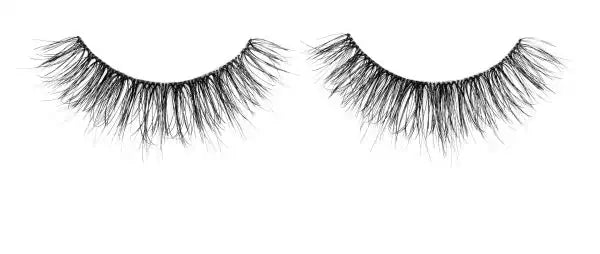 Ardell Strip Lashes 431 - Natural Looking False Eyelashes for Everyday Wear | Lightweight & Comfortable | Perfect for Work, Date Night & Special Occasions