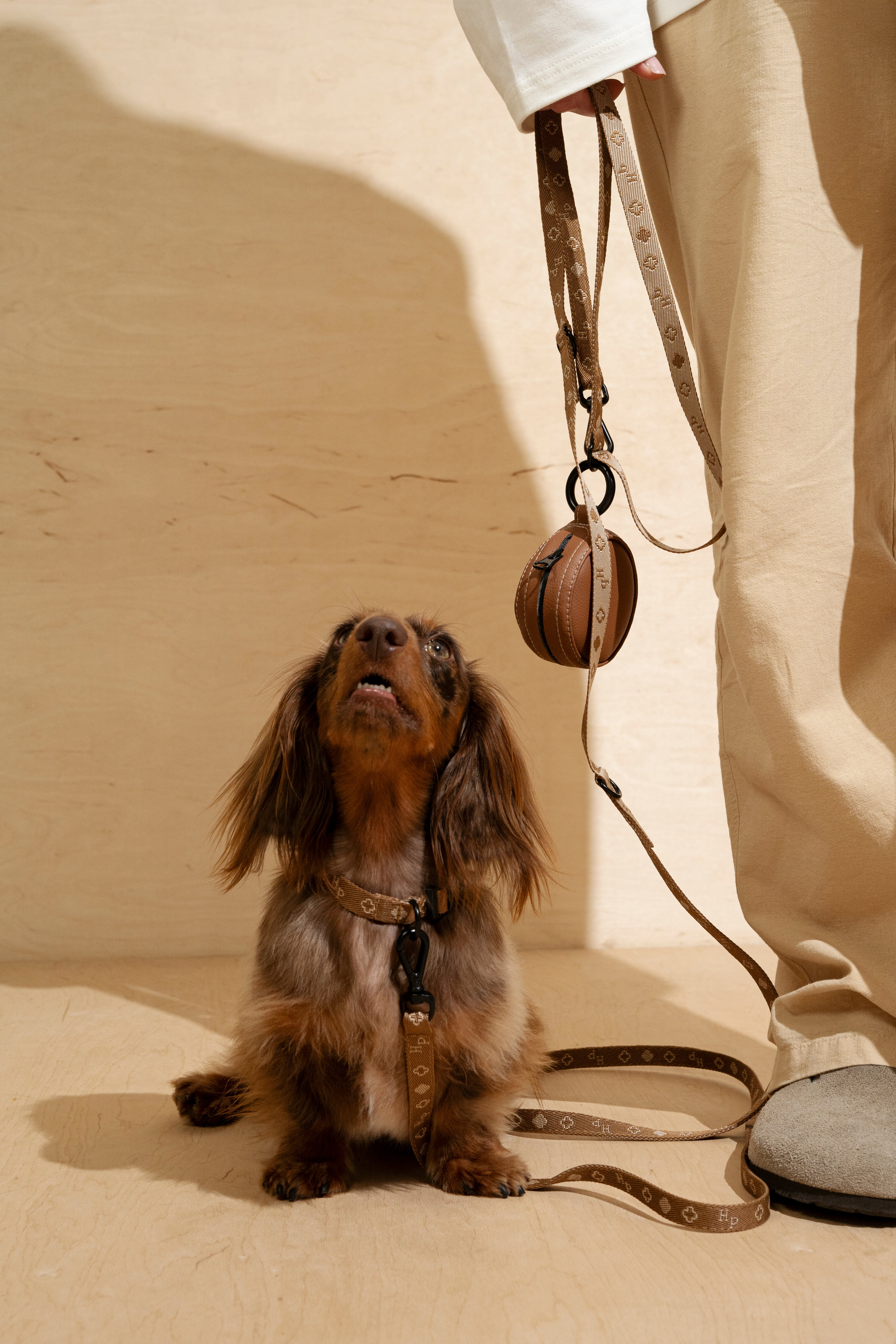 Premium Mini Ginger Pony Companion Leash - Durable & Adjustable Pet Leash for Small Dogs, Cats, and Ponies | Perfect for Walking, Training, and Outdoor Adventures