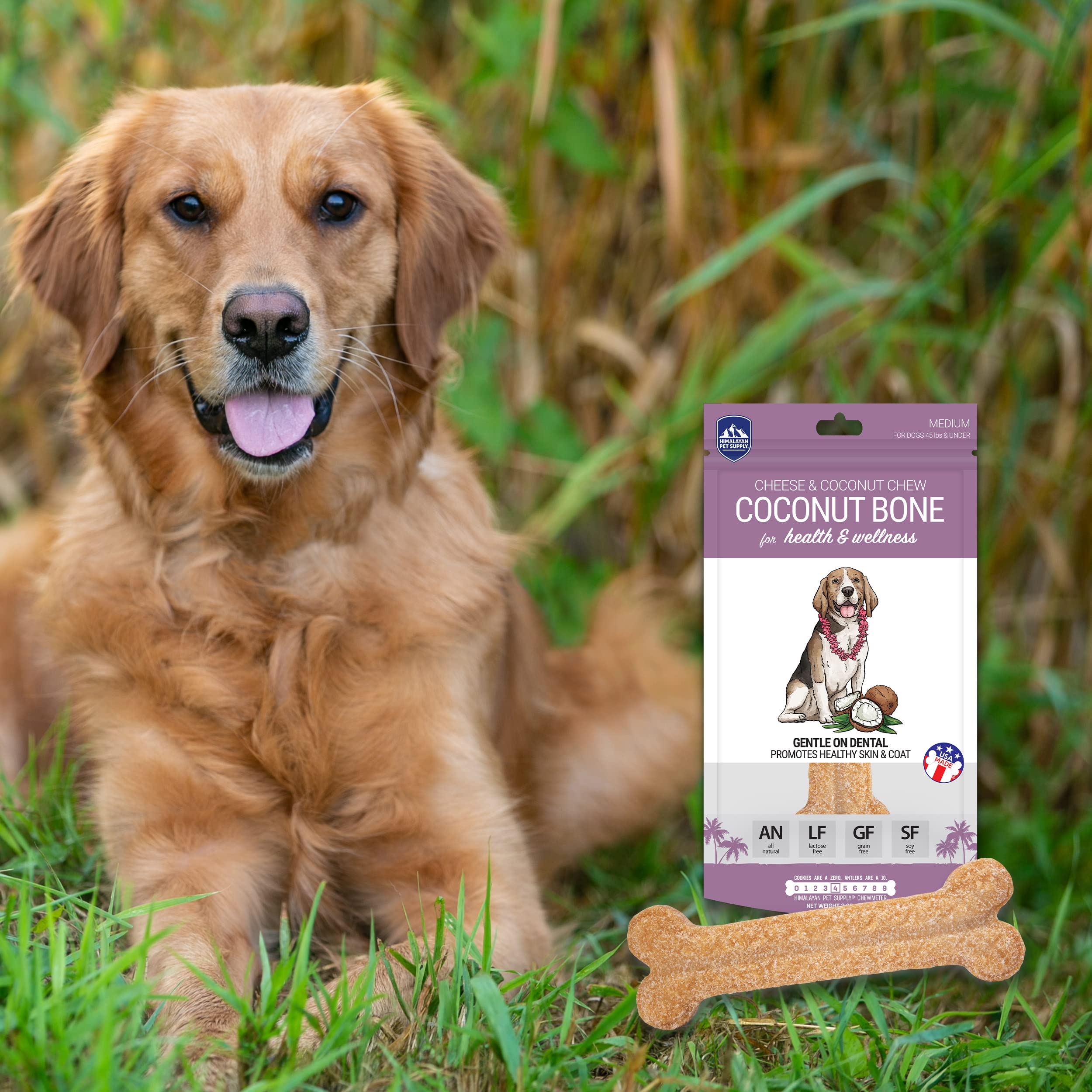 Natural Coconut & Himalayan Cheese Dog Chew - Long-Lasting, Protein-Rich, Stain-Free Dental Treat for Small Dogs Under 45 Lbs | 100% Grain-Free, Lactose-Free & Gluten-Free | Perfect for Teething, Training & Indoor Use Without Strong Odor