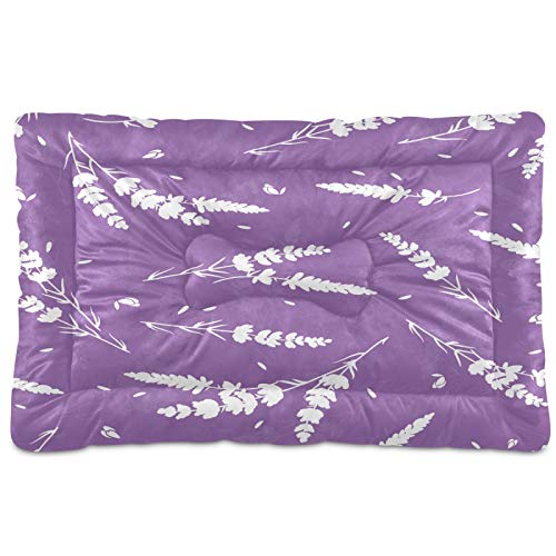 Purple Lavender