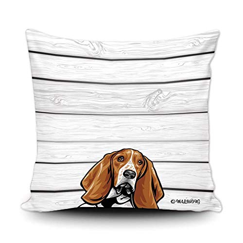 Basset Hound