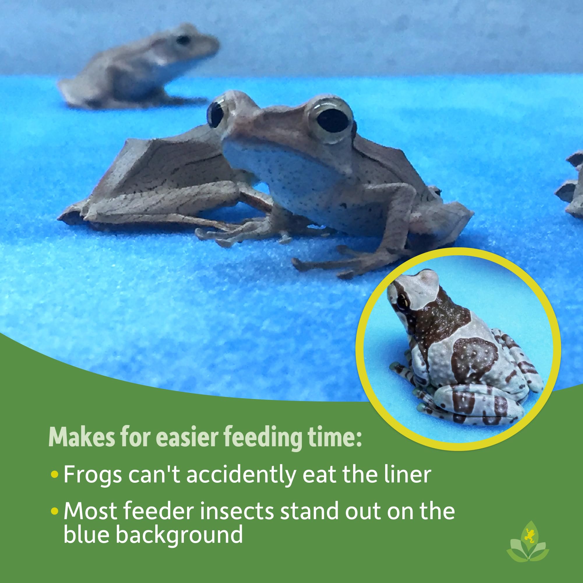 Premium Josh's Frogs Terrarium Liner - 12x12 Inch Frog Foam Substrate for Glass Vivariums | Ideal for Amphibian Habitats, Reptile Tanks & Bioactive Enclosures