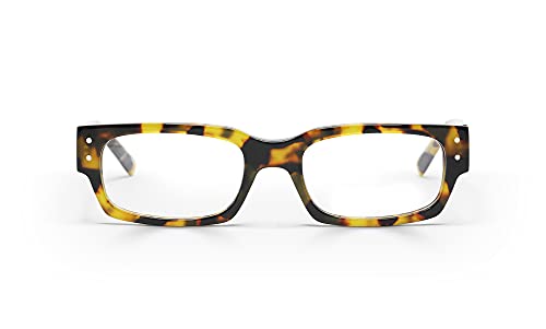 Tortoise Front and Temples