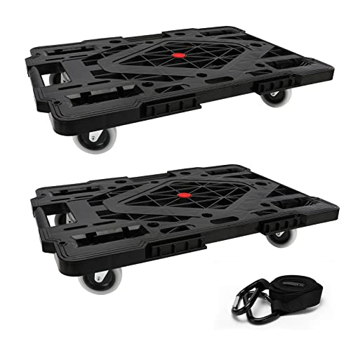 Black/2 Pack-lar