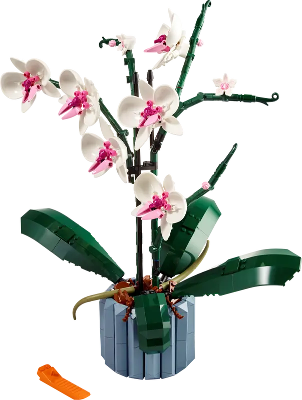 LEGO Botanical Collection Orchid Building Kit - Creative DIY Flower Model for Home Decor, Gift & Relaxation | Perfect for Plant Lovers, Office Desk & Living Room Display